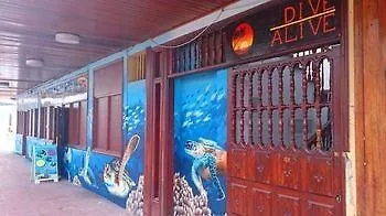 Sea Dive Alive לוס כריסטיאנוס